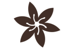Favicon-Wildflowers